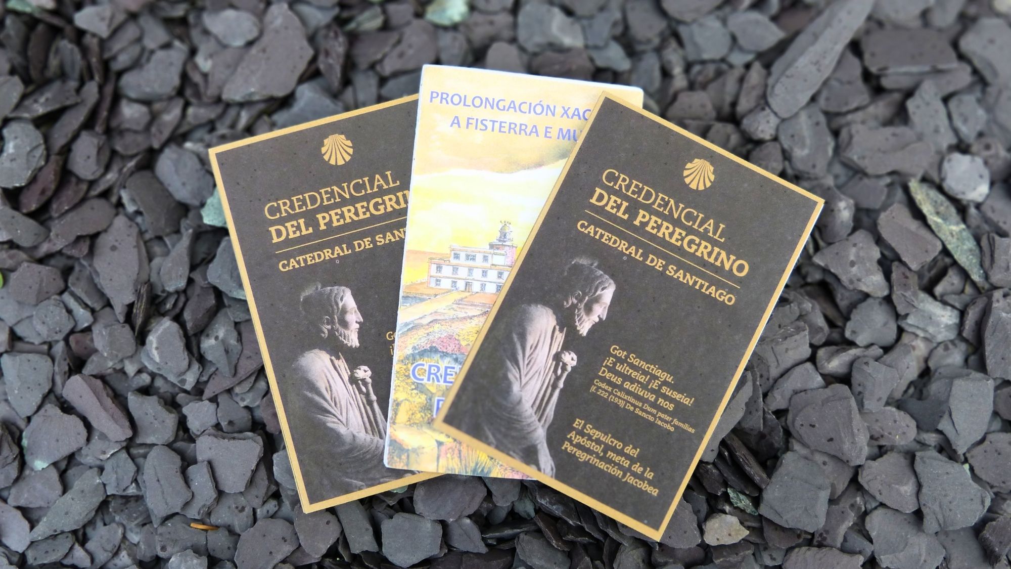 Read more about the article What Is a Pilgrim Passport? (& How to Get One)