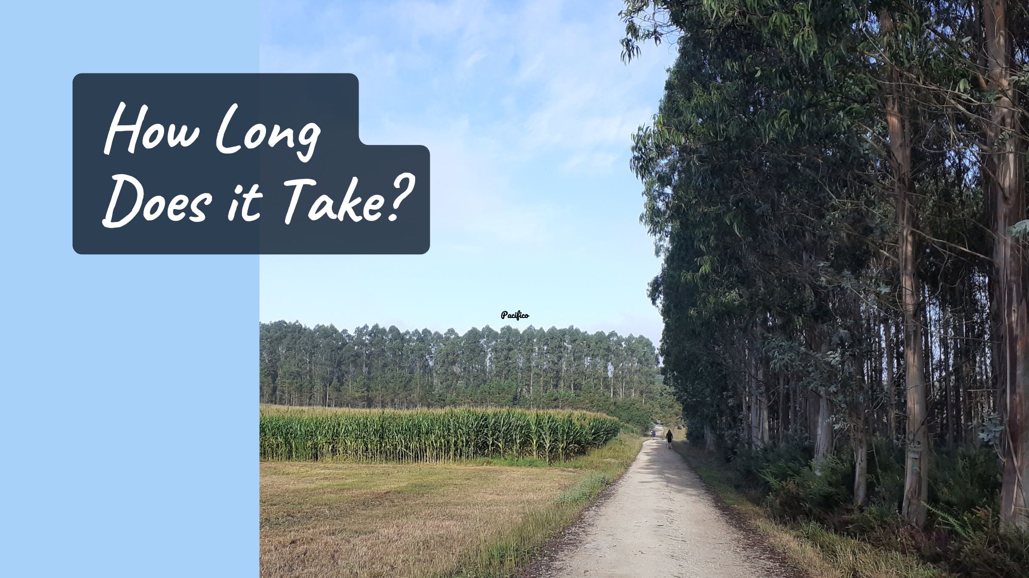 You are currently viewing How Long Does It Take to Walk the Camino de Santiago?