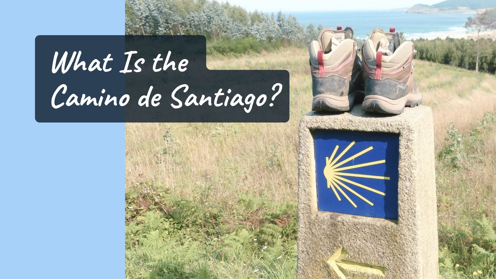 You are currently viewing What Is the Camino de Santiago?