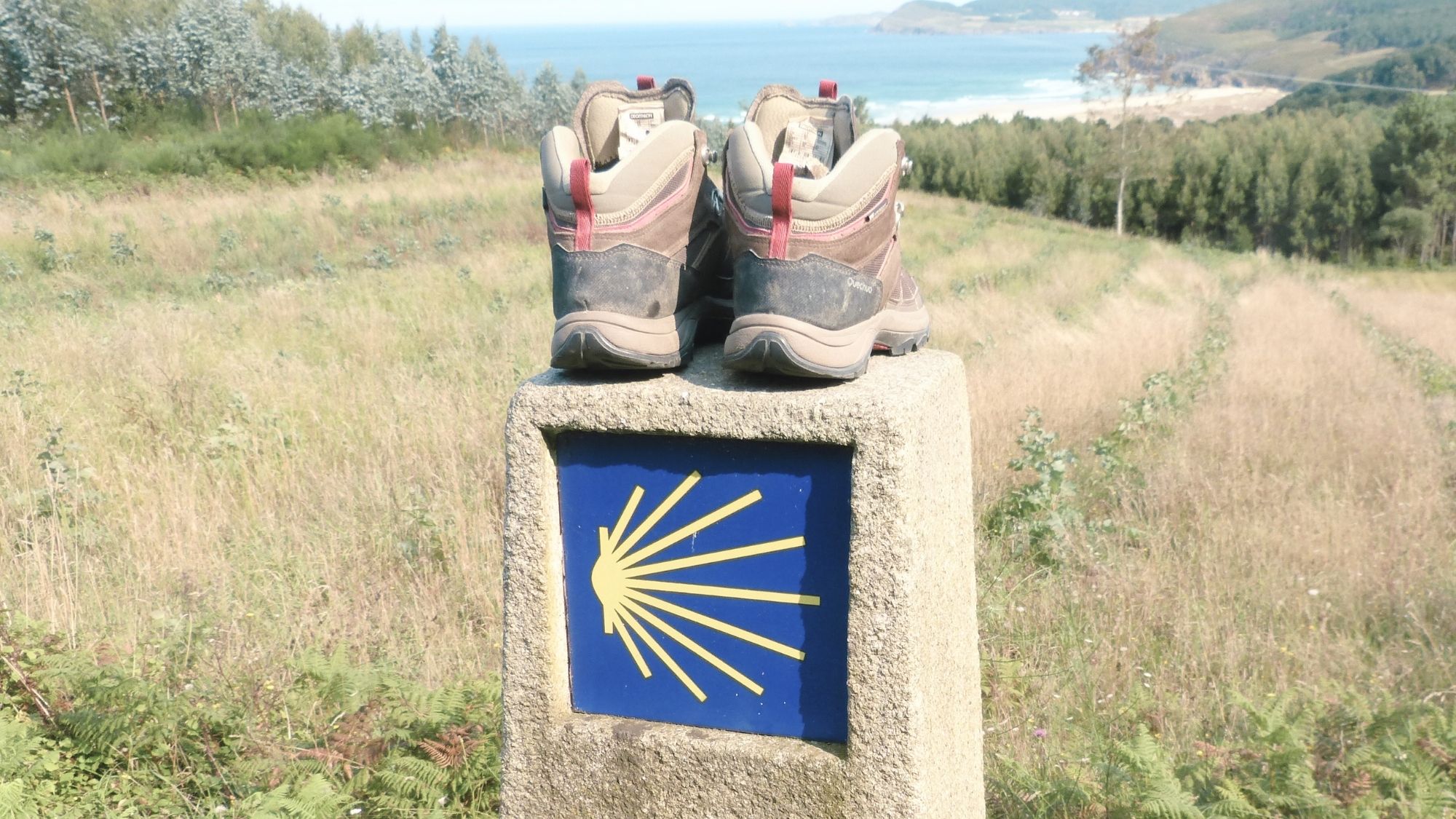 Read more about the article What Is the Camino de Santiago?