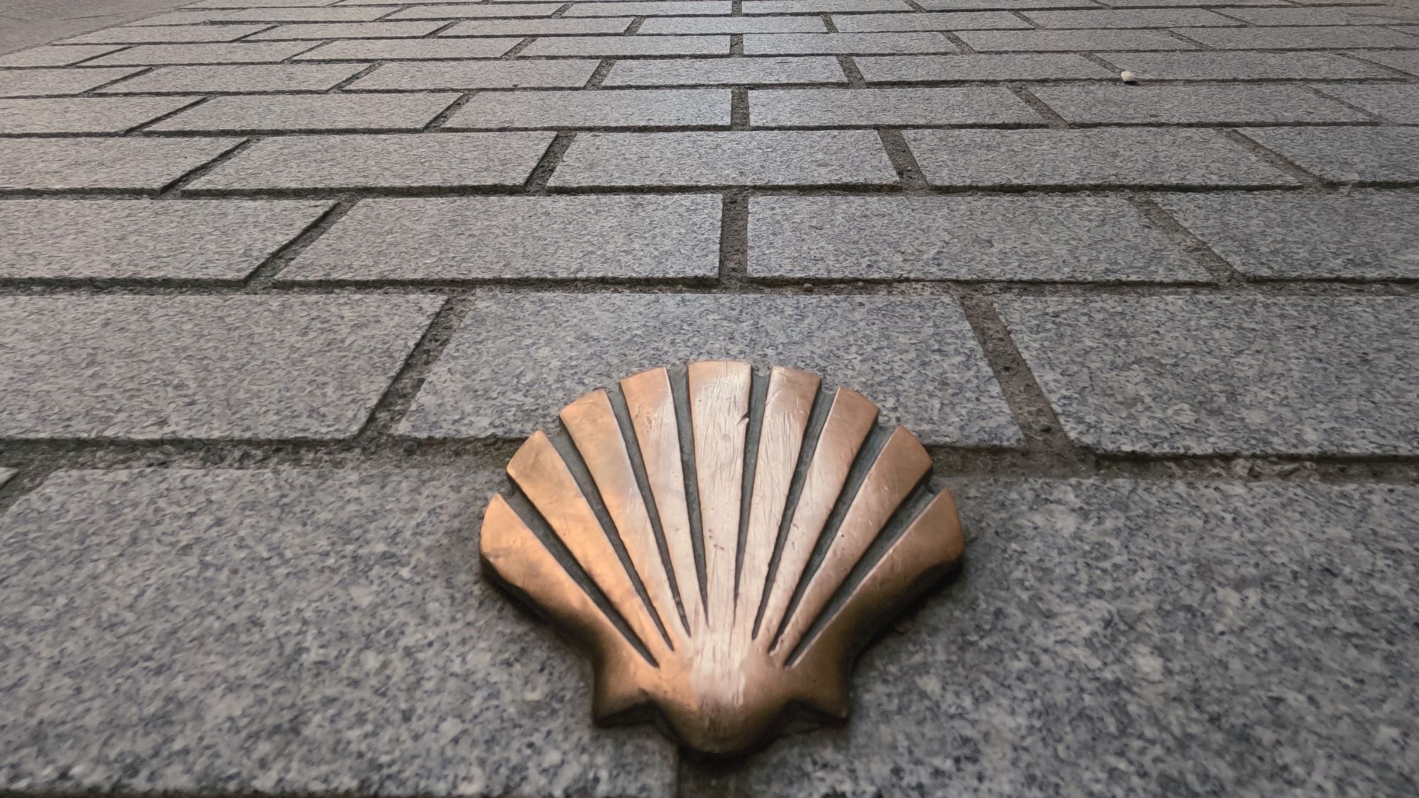 Read more about the article Which Camino Route Should I Walk?