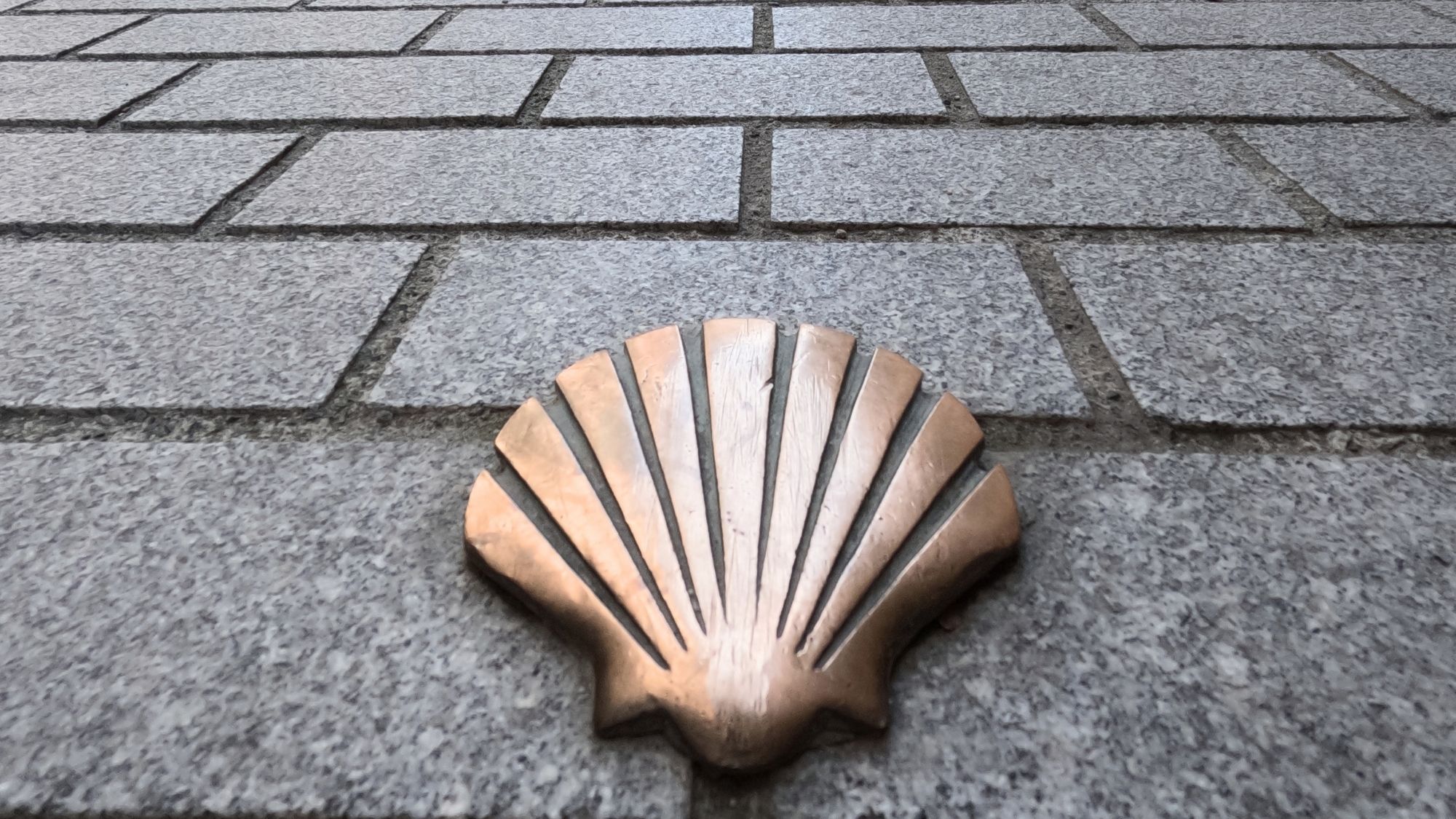 Read more about the article Which Camino Route Should I Walk?