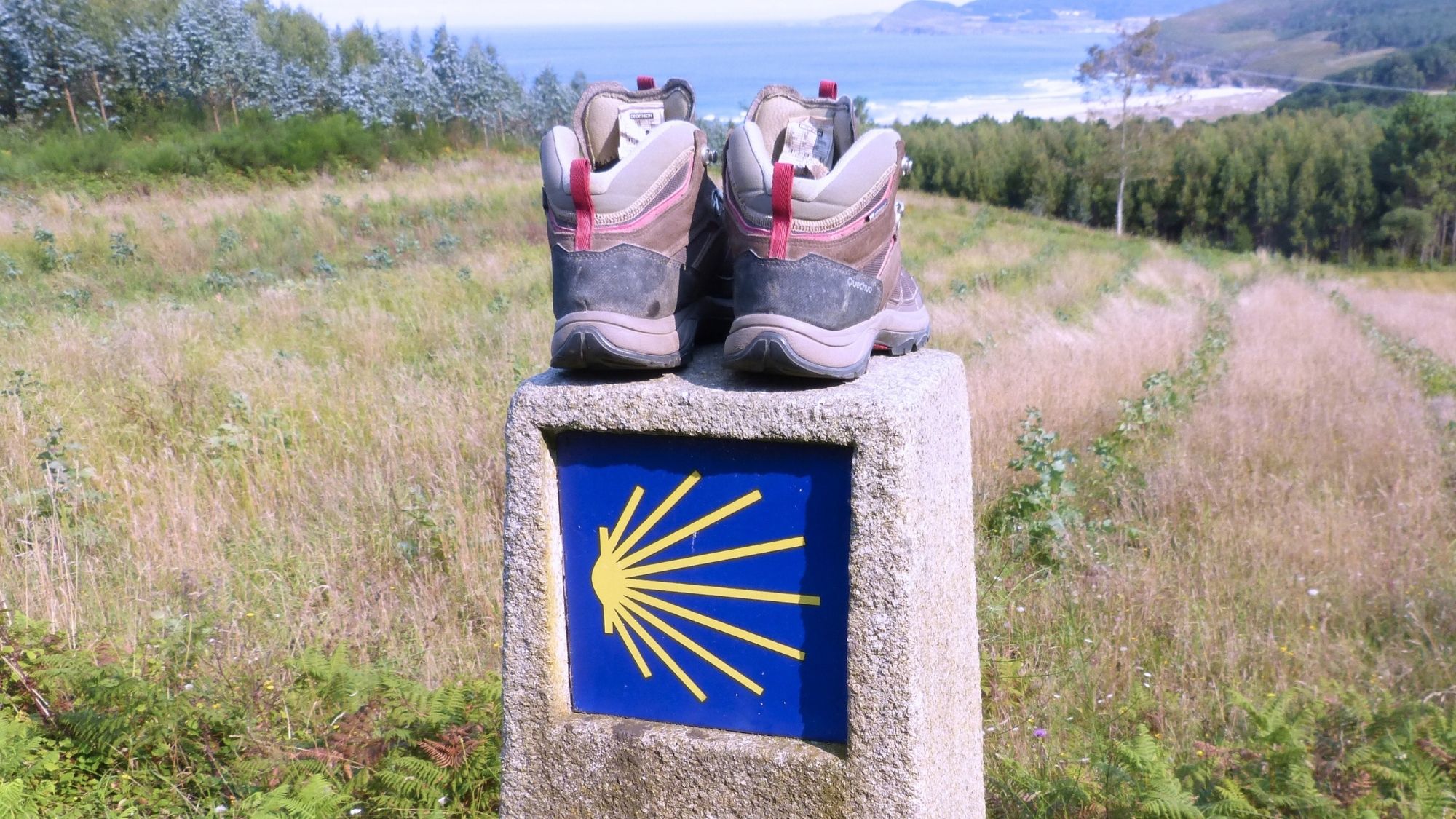 Read more about the article What Is the Camino de Santiago?
